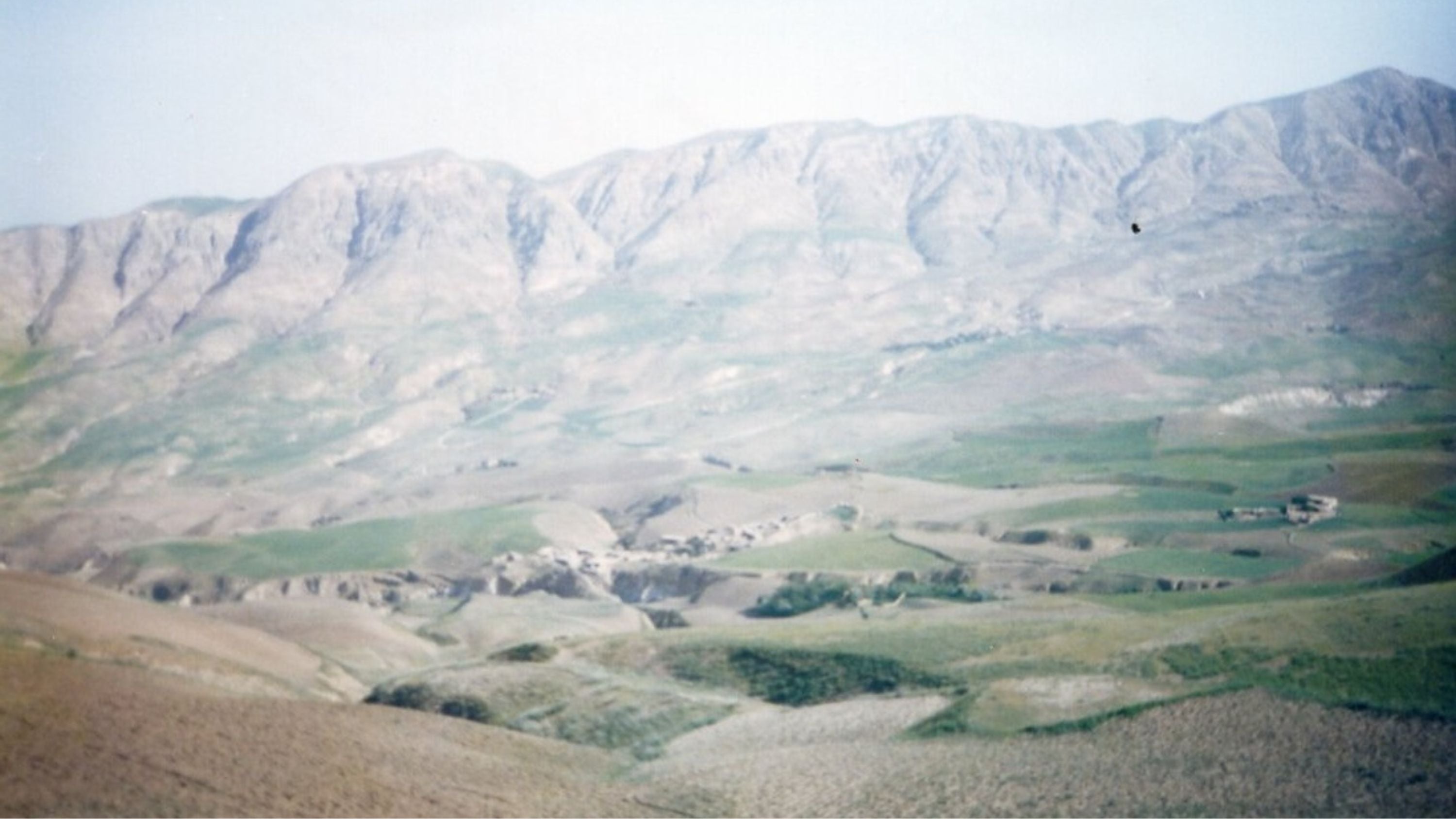 Najaf Rugs
