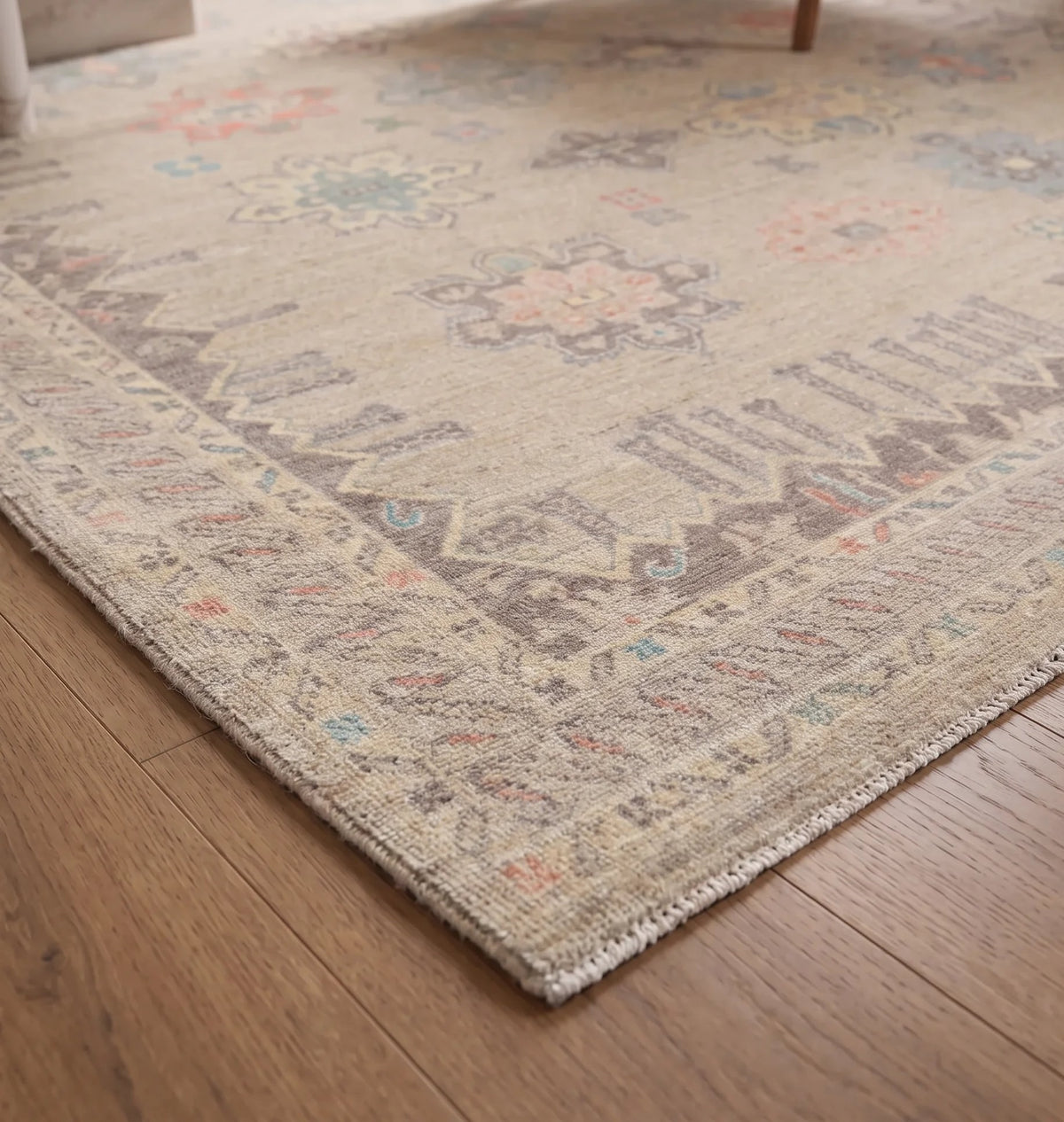 Transitional Aaram Rug