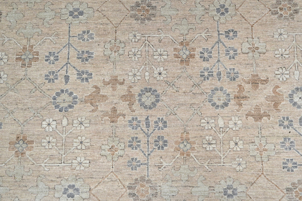 Transitional Aaram Rug