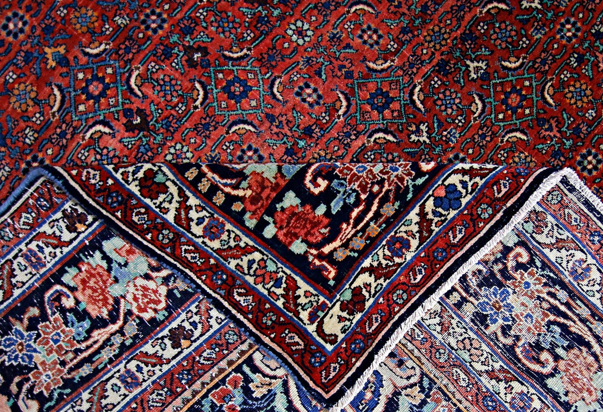 Close-up of a vintage Bidjar rug with a dense red, blue, and cream floral pattern and a folded corner showing the weave.