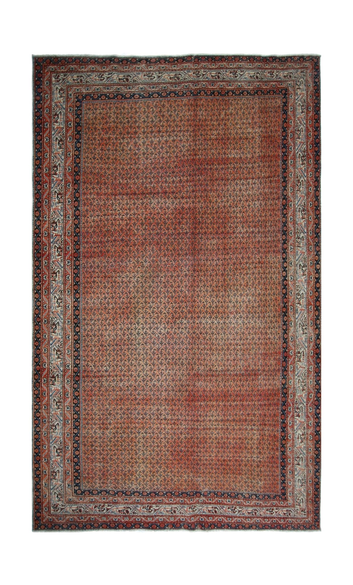 A vintage Persian Saraband rug featuring a repeating boteh pattern on a rust-colored field.
