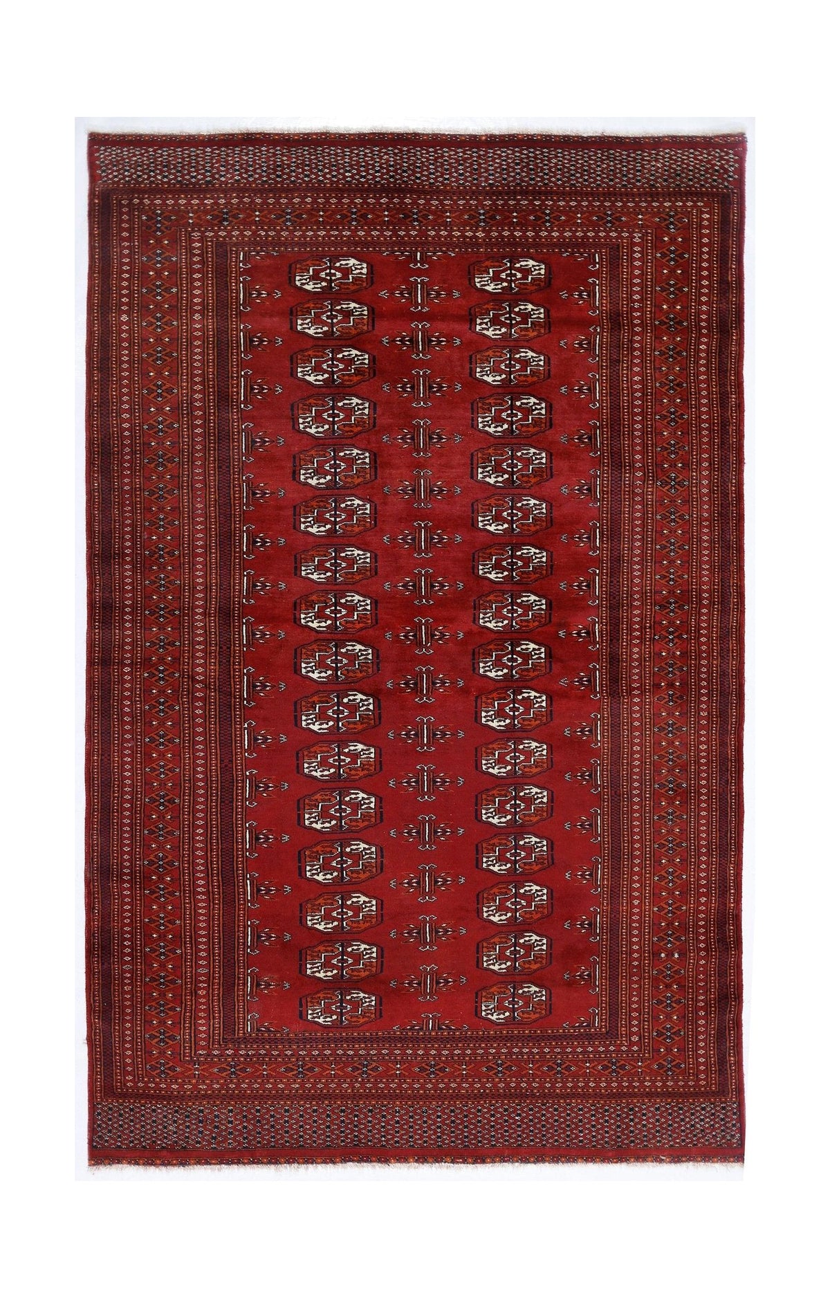 Hand-knotted red Pakistani Princess Bokhara rug featuring rows of delicate gul motifs and a decorative fringed border.