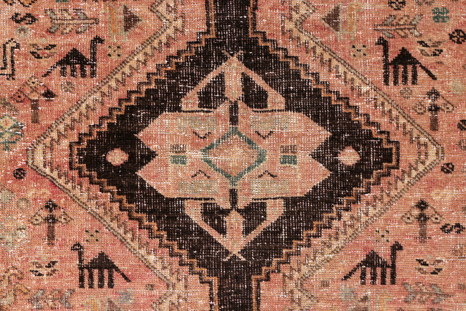 Medium Rugs