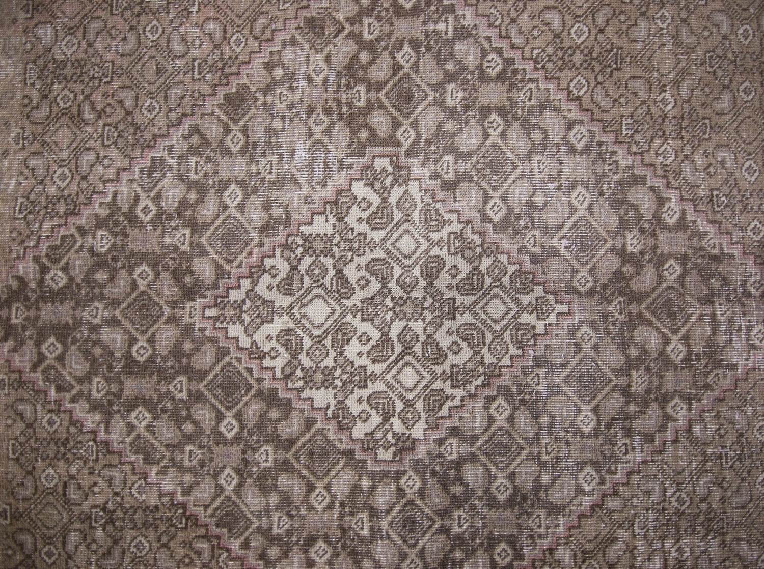 300 × 150 cm (10' × 5')