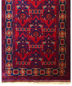 Afghan Biljik Runner