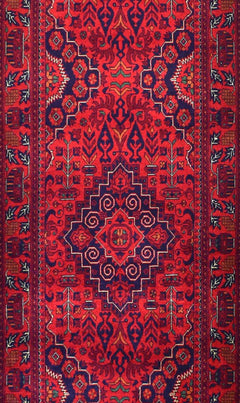 Afghan Biljik Runner