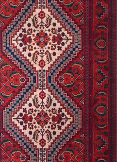 Afghan Biljik Runner