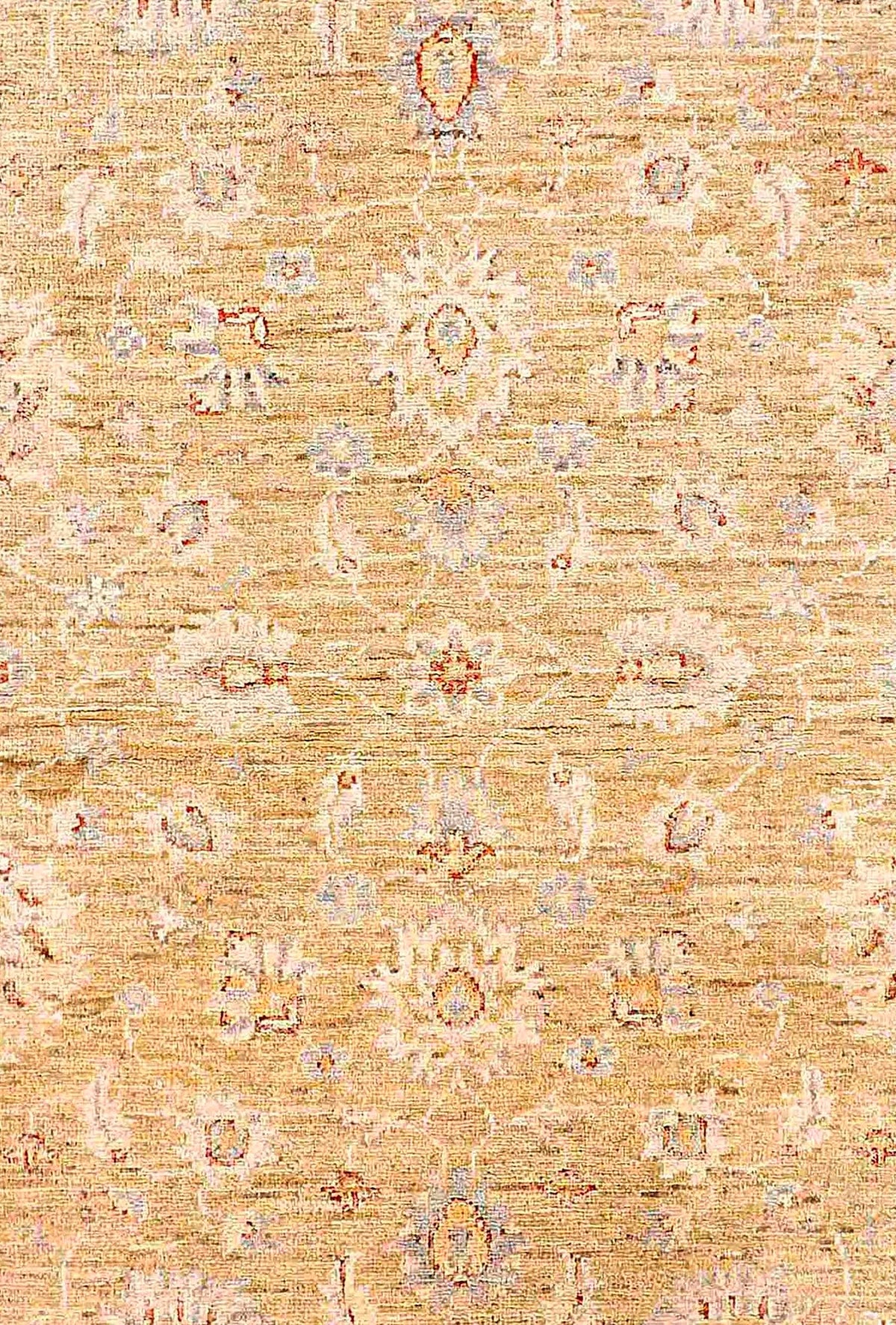 Afghan Chobi Rug