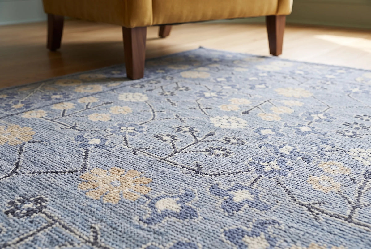Transitional Aaram Rug