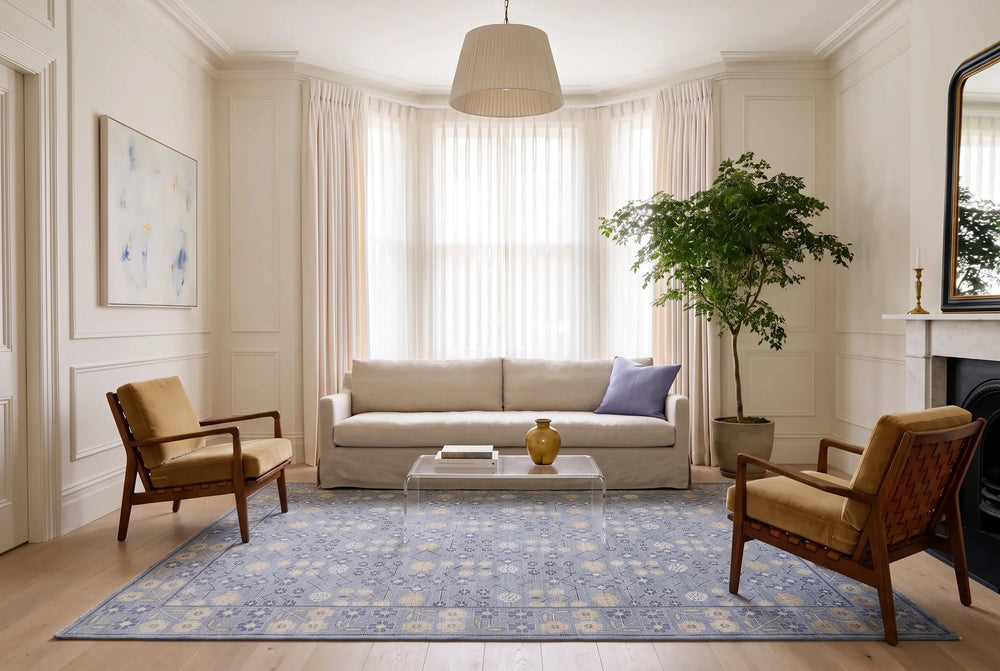 Transitional Aaram Rug