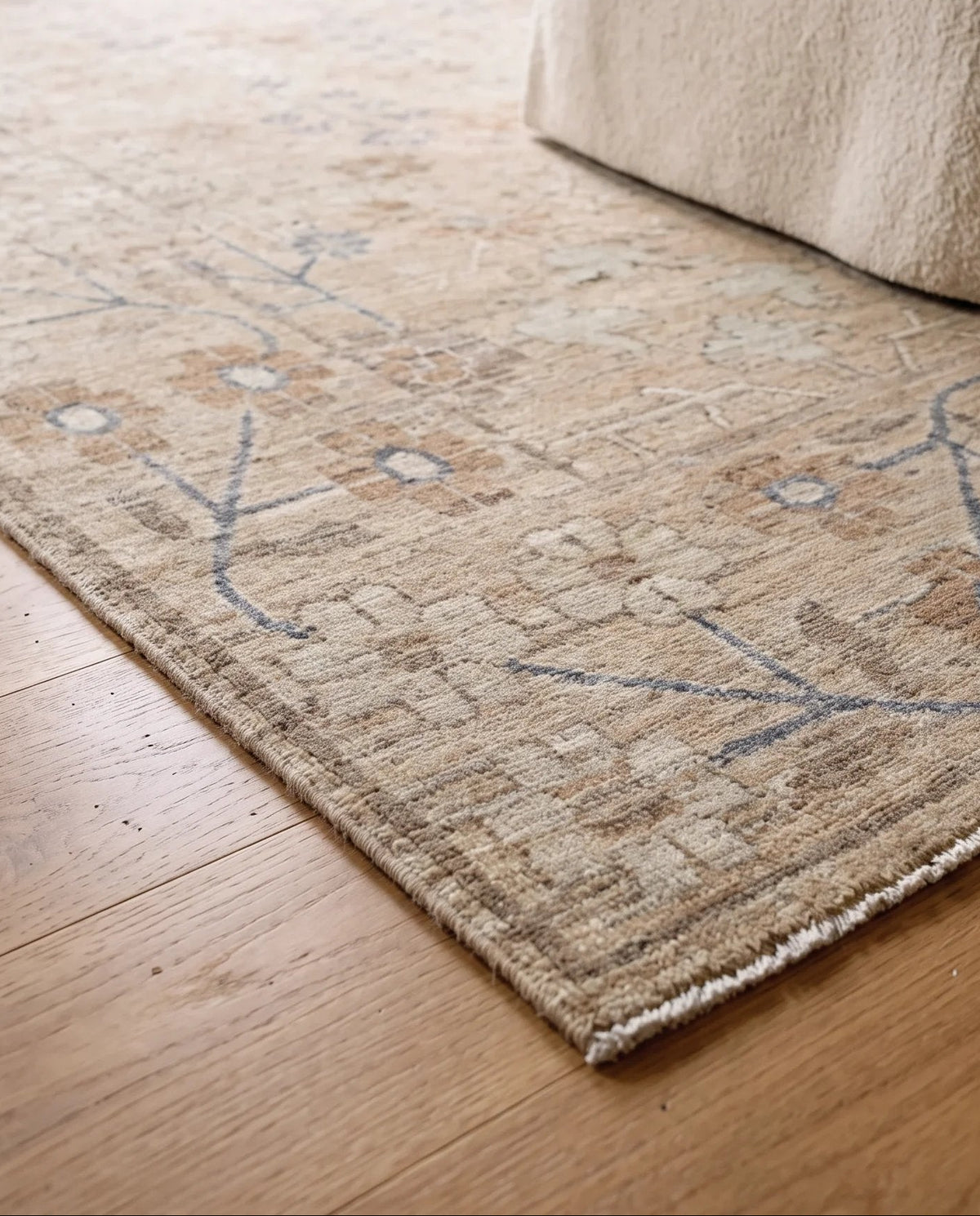 Transitional Aaram Rug