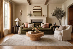 Transitional Aaram Rug