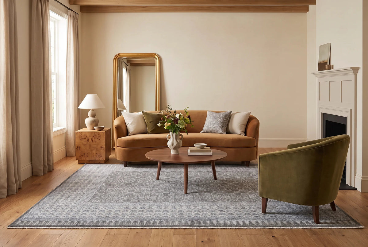Transitional Aaram Rug