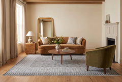 Transitional Aaram Rug