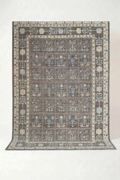 Transitional Aaram Rug