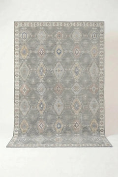 Transitional Aaram Rug