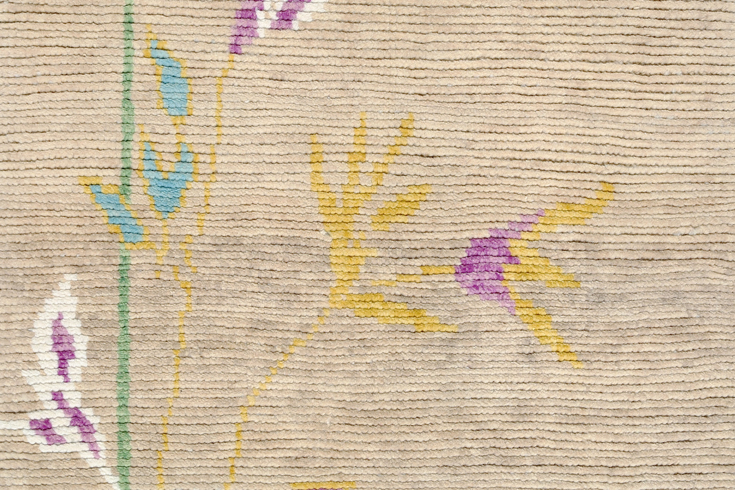 Transitional Kohi Runner