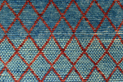 Transitional Kohi Runner