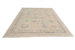 Transitional Aaram Rug