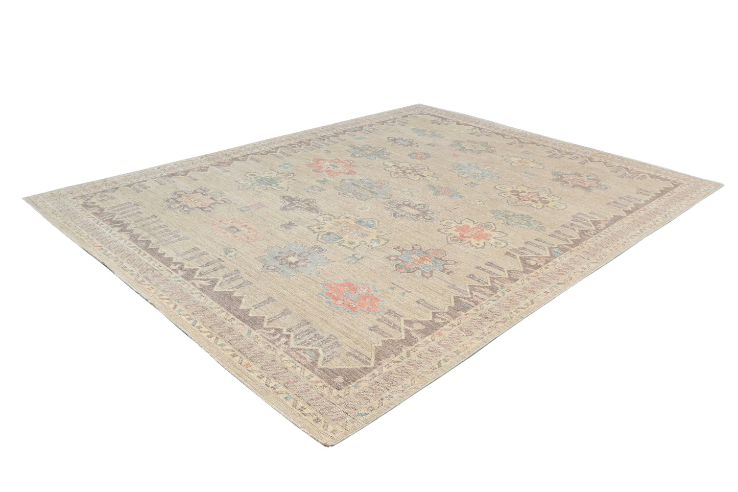 Transitional Aaram Rug