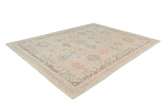 Transitional Aaram Rug