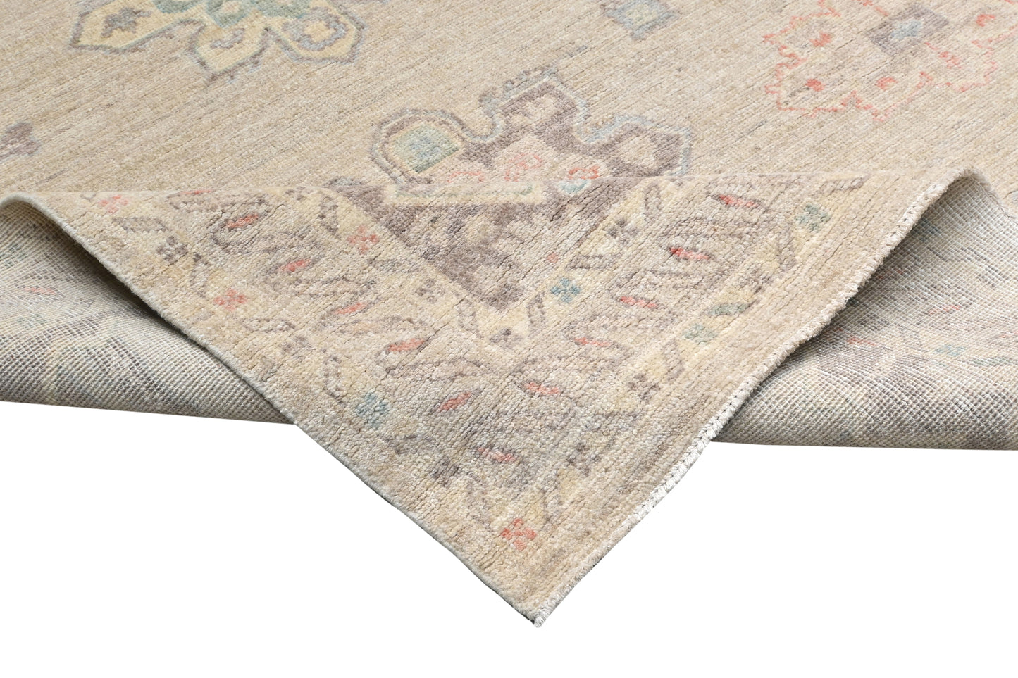 Transitional Aaram Rug