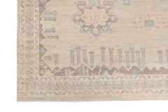 Transitional Aaram Rug