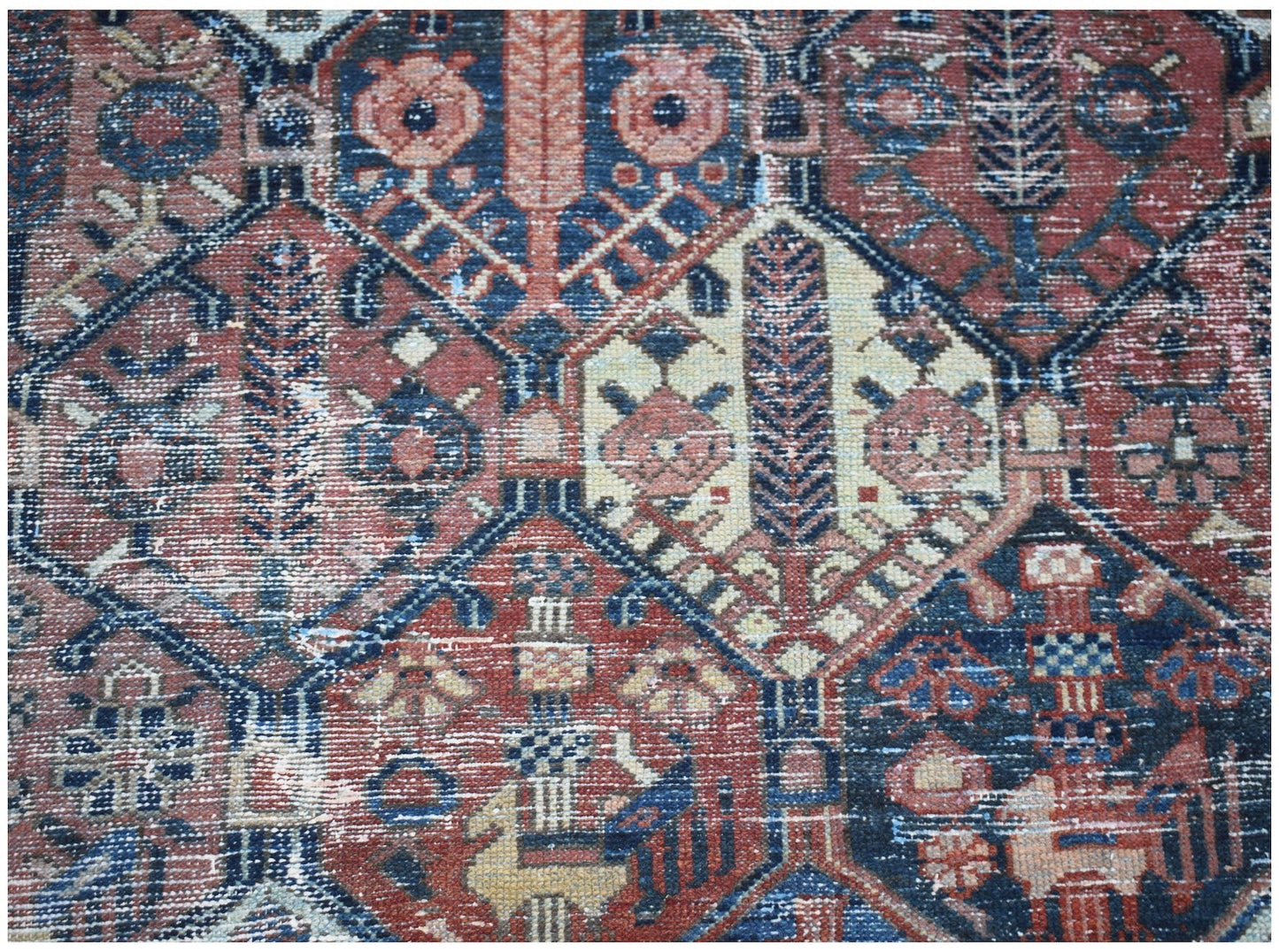 A vintage Persian Bakhtiari rug featuring a geometric garden pattern in red, blue, and cream tones.