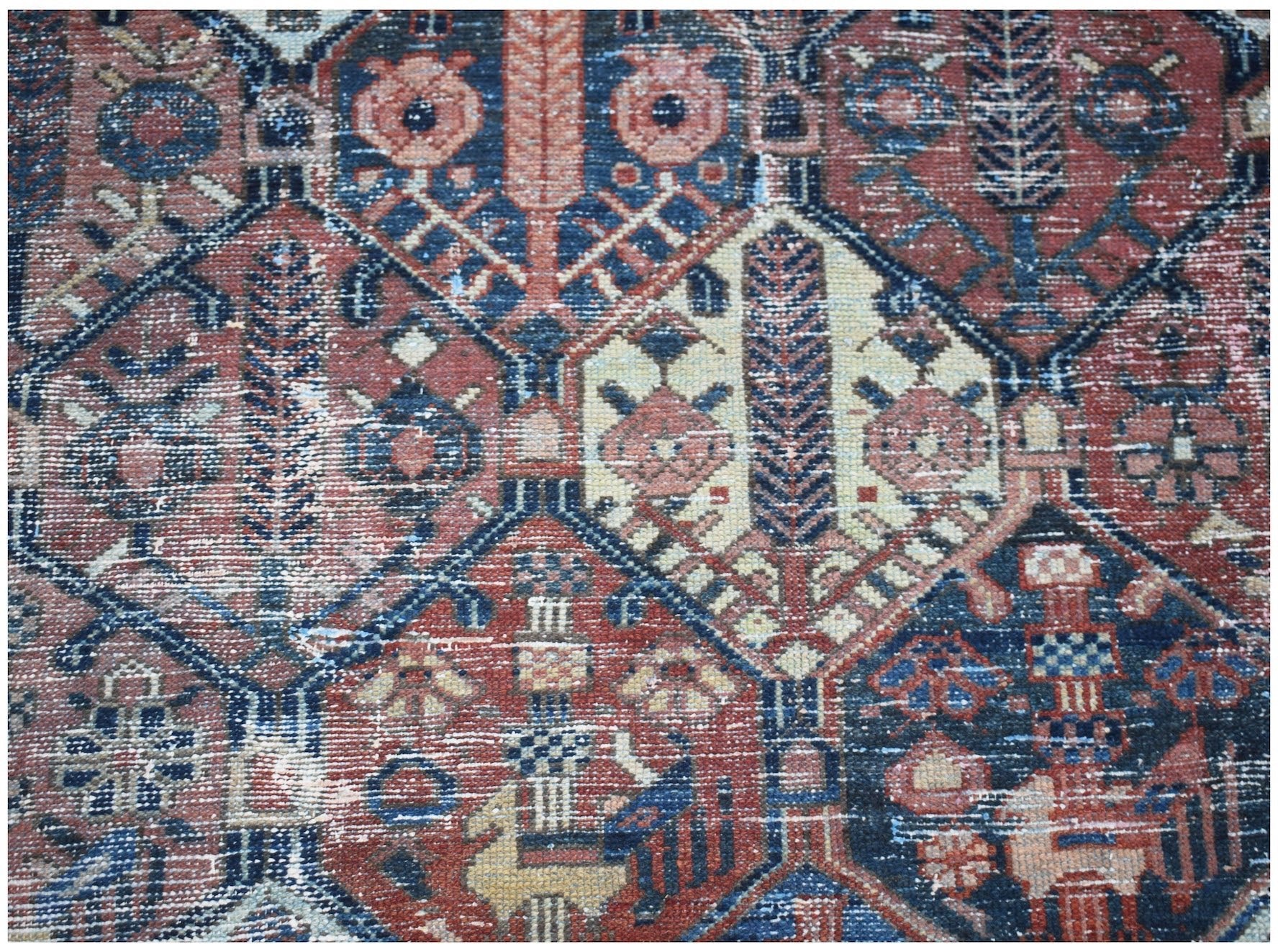 A vintage Persian Bakhtiari rug featuring a geometric garden pattern in red, blue, and cream tones.