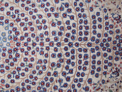 Handmade Vintage Persian Kerman Rug | 226 x 153 cm | 7'5" x 5' - Najaf Rugs & Textile