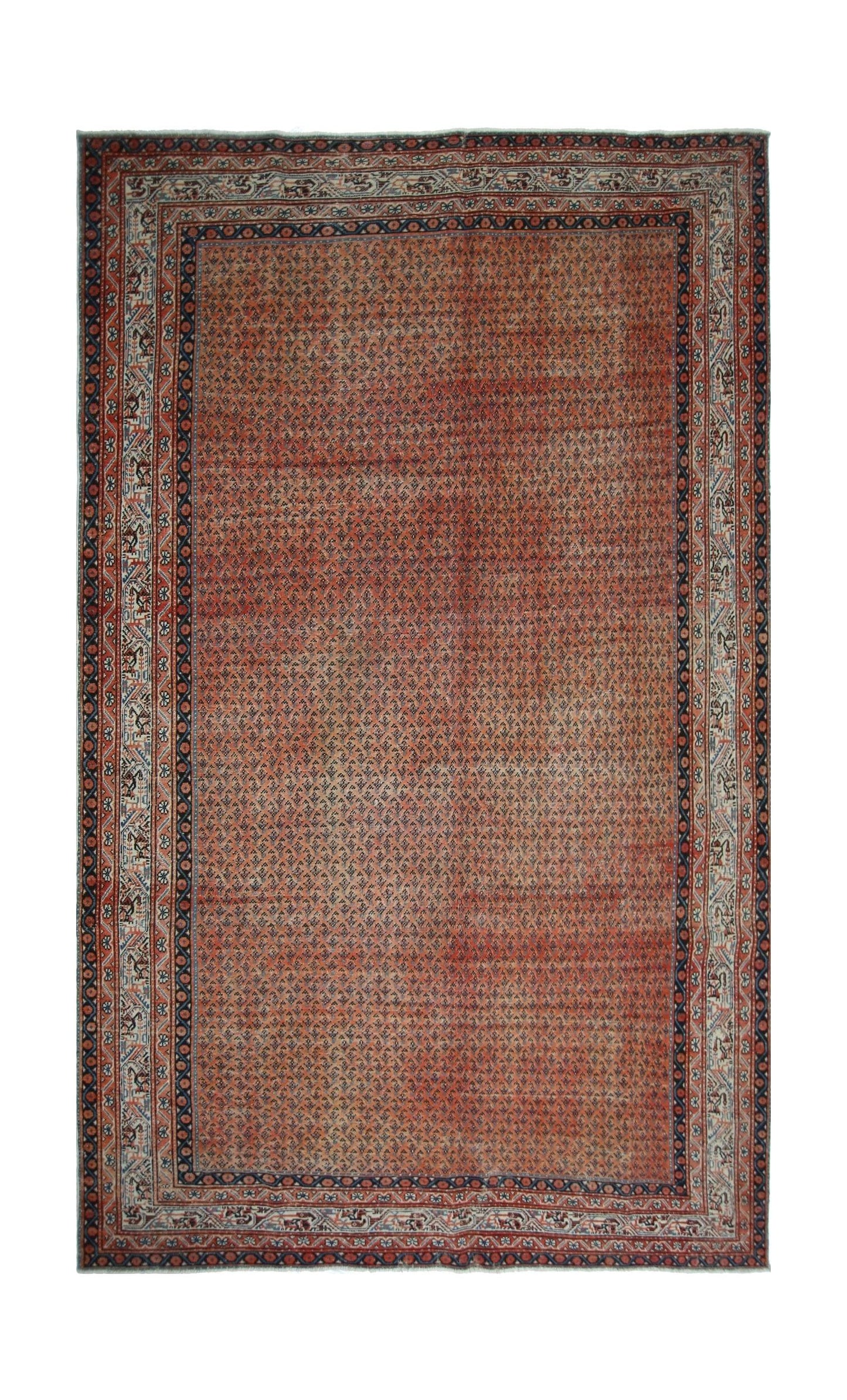 A vintage Persian Saraband rug featuring a repeating boteh pattern on a rust-colored field.