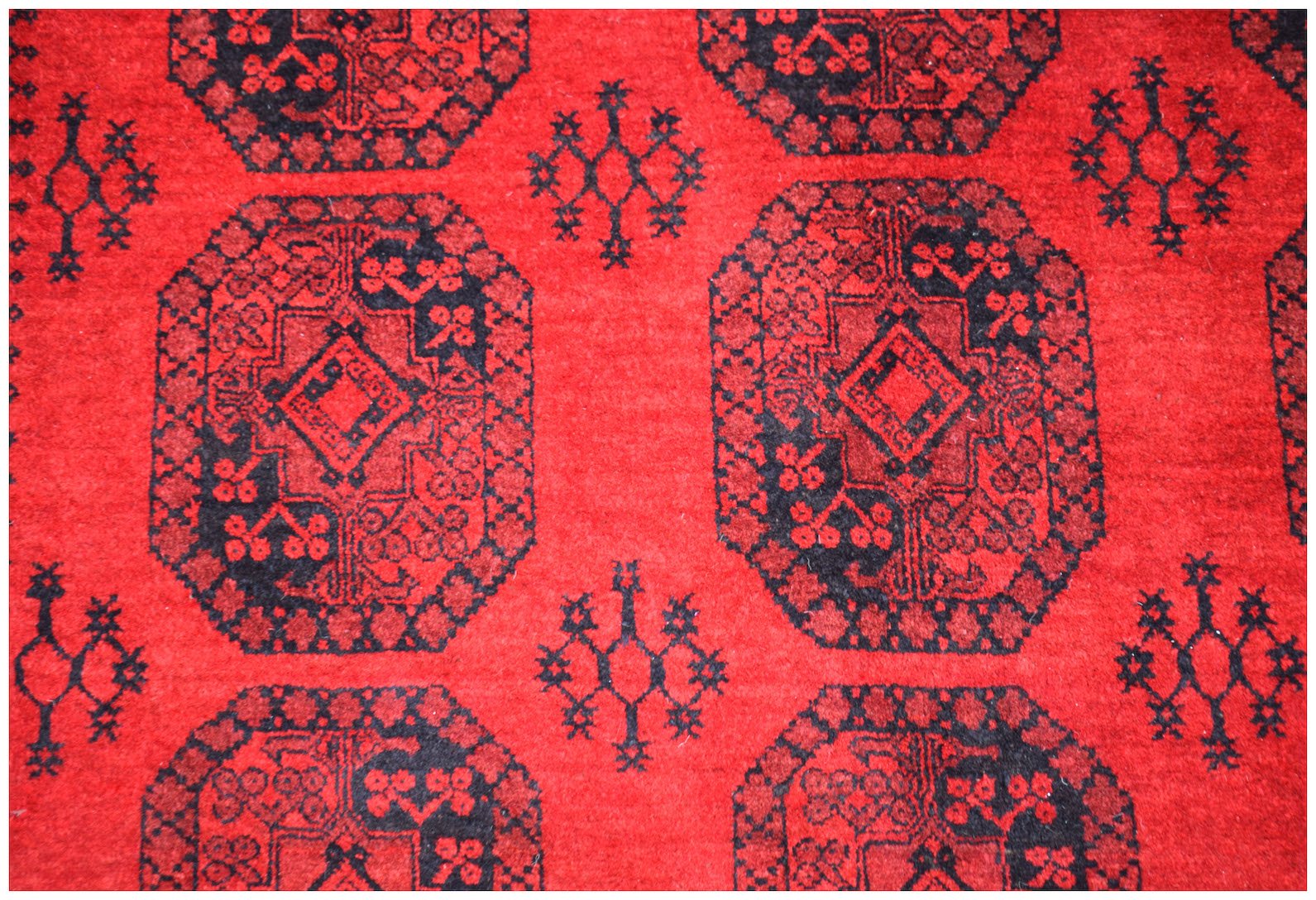 A vintage Afghan Turkmen rug featuring a repeating black elephant foot motif on a red wool field.