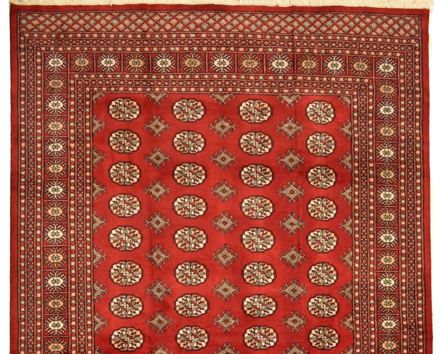 A handmade red wool Princess Bokhara rug featuring repeating elephant foot motifs and borders.